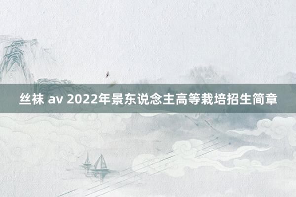 丝袜 av 2022年景东说念主高等栽培招生简章