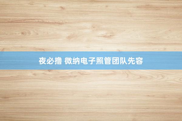夜必撸 微纳电子照管团队先容