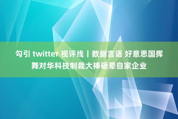 勾引 twitter 视评线丨数据言语 好意思国挥舞对华科技制裁大棒砸晕自家企业