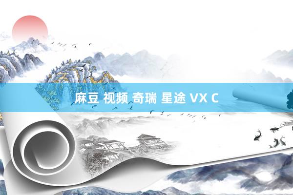 麻豆 视频 奇瑞 星途 VX C