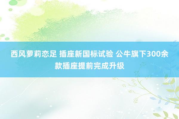 西风萝莉恋足 插座新国标试验 公牛旗下300余款插座提前完成升级