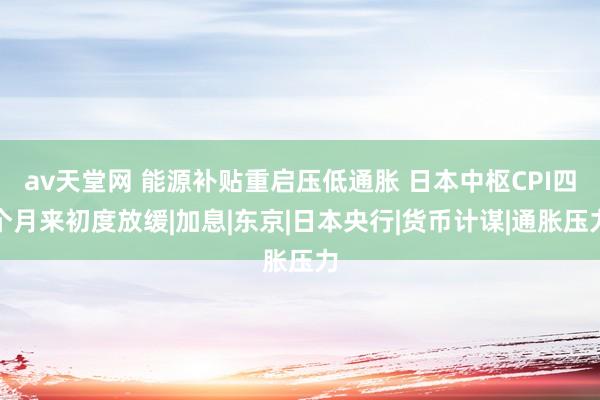 av天堂网 能源补贴重启压低通胀 日本中枢CPI四个月来初度放缓|加息|东京|日本央行|货币计谋|通胀压力