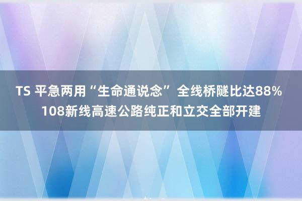 TS 平急两用“生命通说念” 全线桥隧比达88% 108新线高速公路纯正和立交全部开建