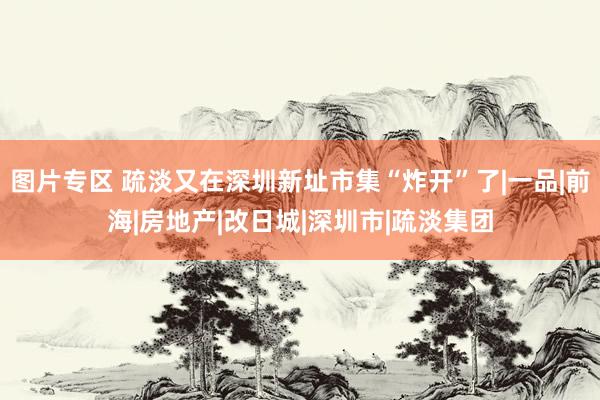 图片专区 疏淡又在深圳新址市集“炸开”了|一品|前海|房地产|改日城|深圳市|疏淡集团