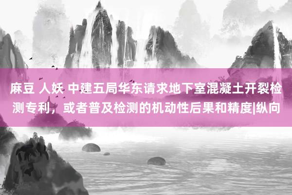 麻豆 人妖 中建五局华东请求地下室混凝土开裂检测专利，或者普及检测的机动性后果和精度|纵向