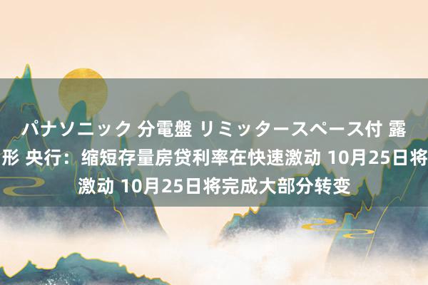 パナソニック 分電盤 リミッタースペース付 露出・半埋込両用形 央行：缩短存量房贷利率在快速激动 10月25日将完成大部分转变
