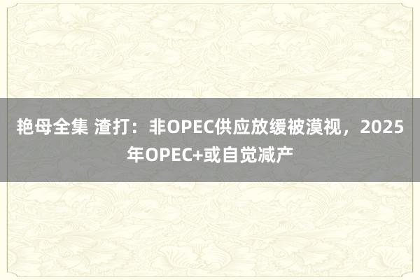 艳母全集 渣打：非OPEC供应放缓被漠视，2025年OPEC+或自觉减产