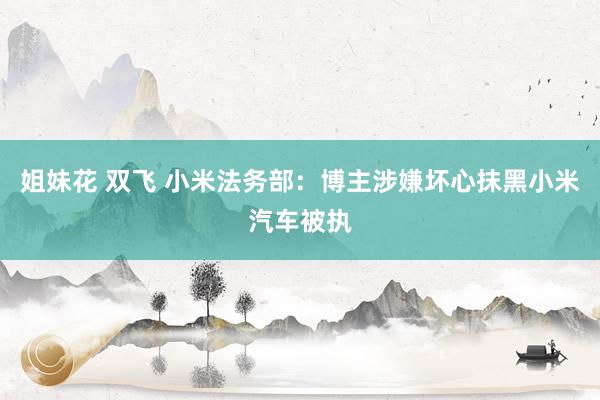 姐妹花 双飞 小米法务部：博主涉嫌坏心抹黑小米汽车被执