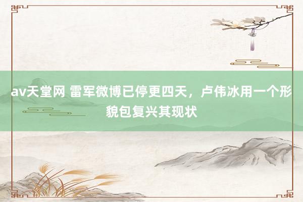 av天堂网 雷军微博已停更四天，卢伟冰用一个形貌包复兴其现状